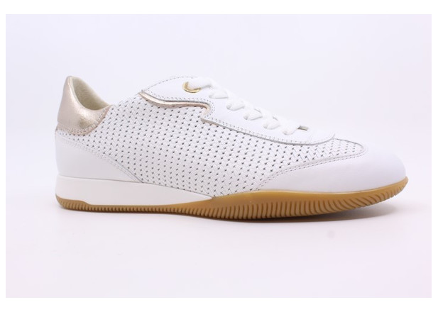 Dl Sport 6256 08 BIANCO Schoenen Reyskens Schoenen Reyskens