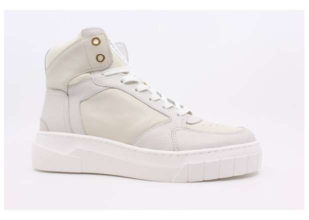 Muoviti schoenen 2025