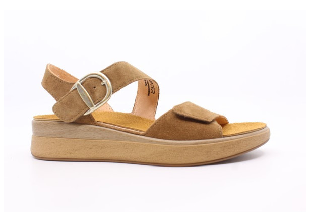 Oakschoenen 2025