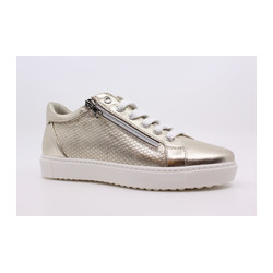 asics pulse 7 women's