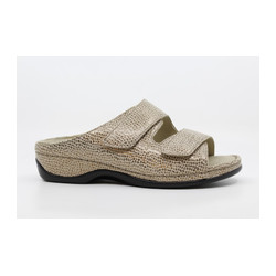 Berkemann - DARIA 01002