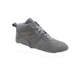 Cycleur De Luxe - TAZGA CDLM 192360
