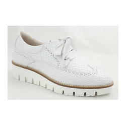 Dl Sport - 3891