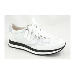 Dl Sport - 4260