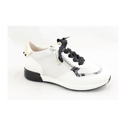 Dl Sport - 4635