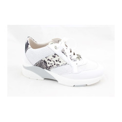 Dl Sport - 4644