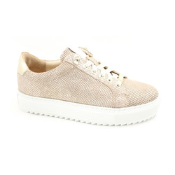 Footnotes - 20.001 G