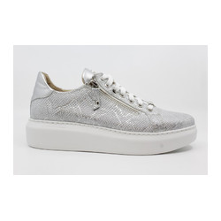 Footnotes - 21.005 H