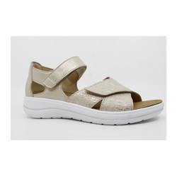 Hartjes - 132.2101/41 POP