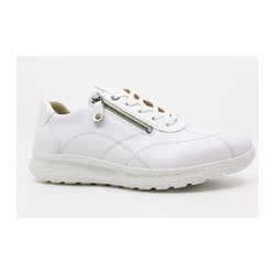 Hartjes - 162.1602/99