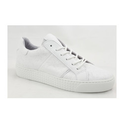 Livingstone - 44061 D