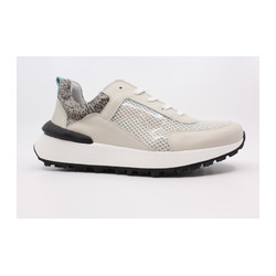 Piedro - 76097 W2