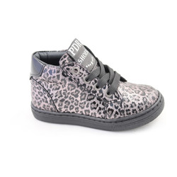Piedro - 86036 W3