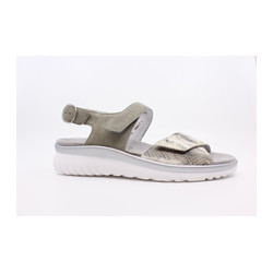 Semler - T2015 D