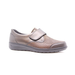 Solidus - 27509 H