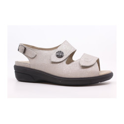 Solidus - 47015 W