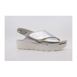 Solidus - 48003 G