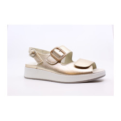 Solidus - 75032 H