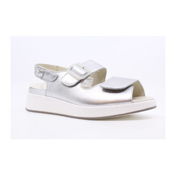 Solidus - 75032 H
