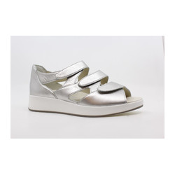 Solidus - 75036 H