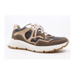 Twins - 325655 W3 POLLY