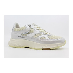 Van Bommel - DAYSI SFW-10133-90-01