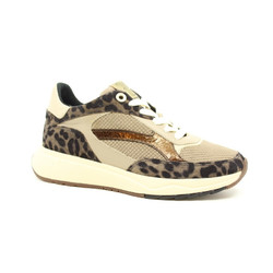 Van Bommel - SFW-10138-34-01 SUVI