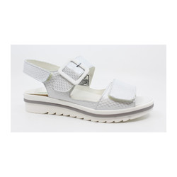 Waldlaufer - 351013 H HAKURA