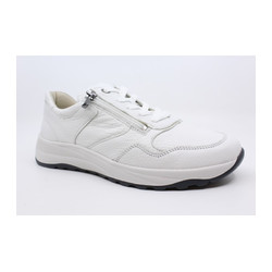 Waldlaufer - 662002 K JOHN