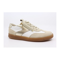 Waldlaufer - 704005 H DAISY