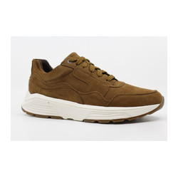 Xsensible - GOLDEN GATE 33200.4.334