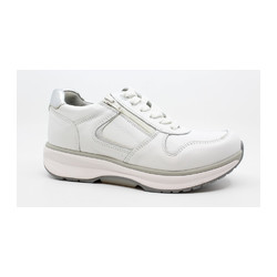 Xsensible - NEW JERSEY 30150.3.151