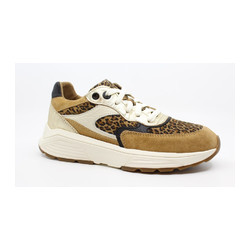 Xsensible - PONTE VECCHIO 33002.4.304