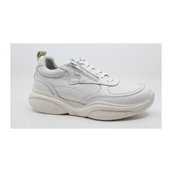 Xsensible - SWX 21 32005.3.101